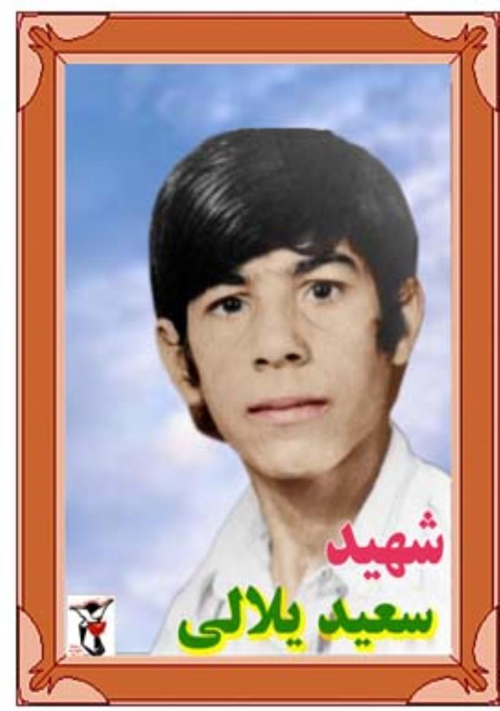 فاقد تصویر